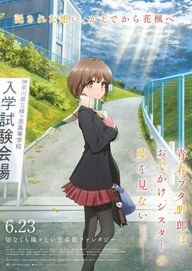女小偷tk视频vk